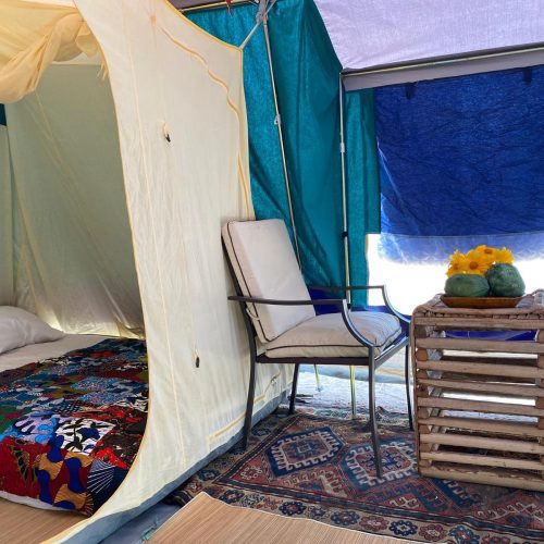 WhatsApp Image 2026-03-04 at 16.21.41