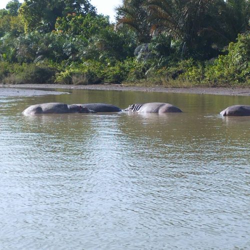 WhatsApp Image 2026-03-04 at 16.21.43